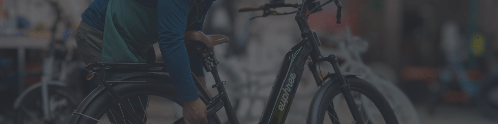 City Robin X+ Assembly Tutorial - euphree