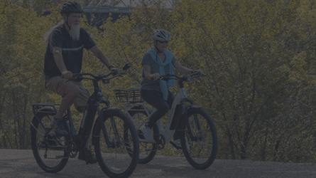 City Robin X+ Ebike Reviews - euphree