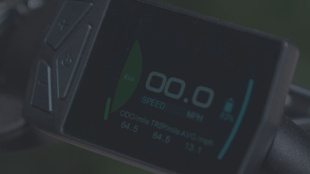 Euphree's Warranty: Built for Riders - euphree