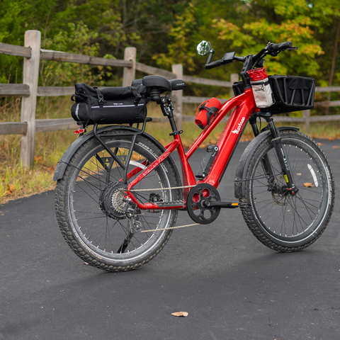 Euphree Stellar Falcon 750W motor with torque and cadence sensor options