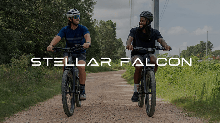 Stellar Falcon Ebike Review | CitizenCycle - euphree